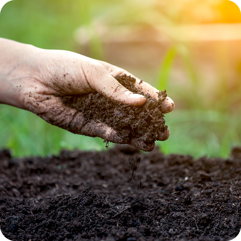 Introduction-To-Soil-Preparation-In-Agriculture