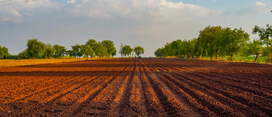 Plough Manufacturers in Gujarat