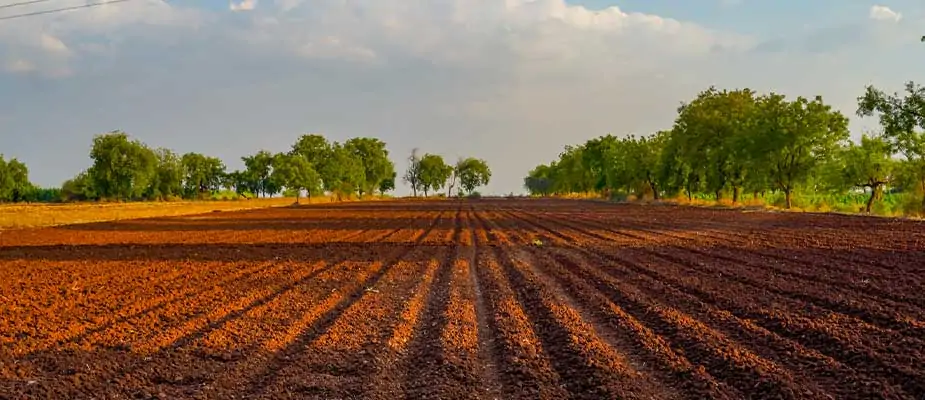 Soil First, Seeds Later: How Hydraulic Reversible Ploughs Are Powering India’s Agricultural Renaissance