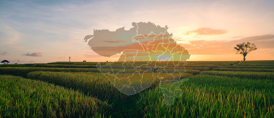 Why Gujarat Leads India