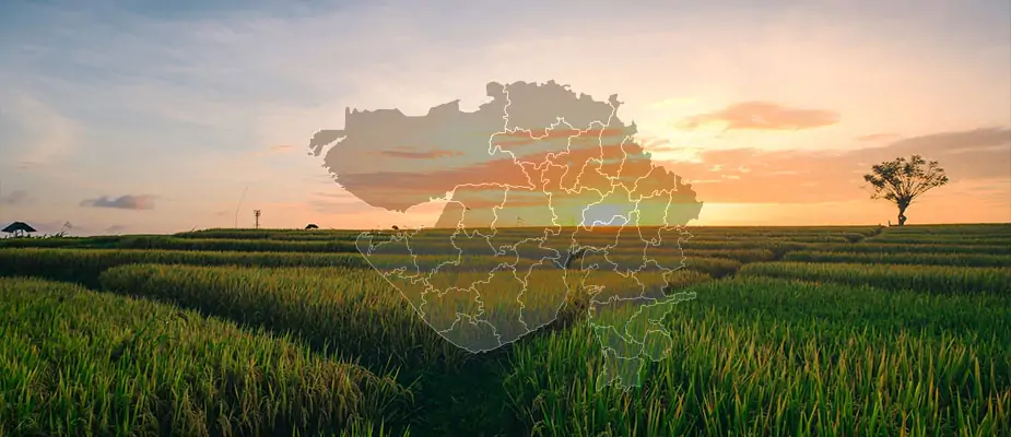 Why Gujarat Leads India as An Agricultural Plough Exporter & Manufacturer