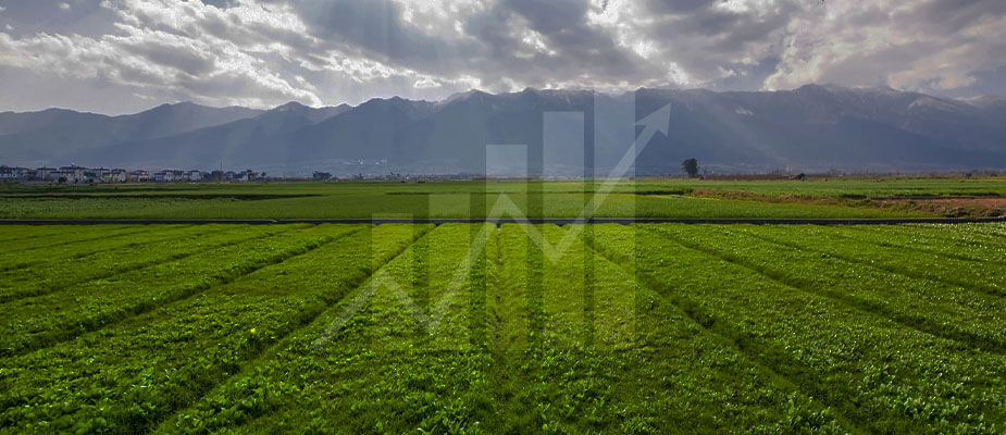 Hydraulic Reversible Plough Manufacturer