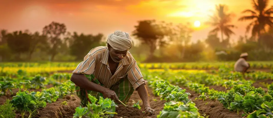 Are Hydraulic Reversible Ploughs a Smart Investment for Small Farmers?