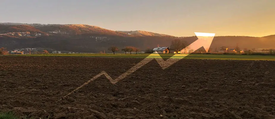 From Soil to Success: How Gujarat’s Leading Plough Manufacturers Are Transforming Modern Farming