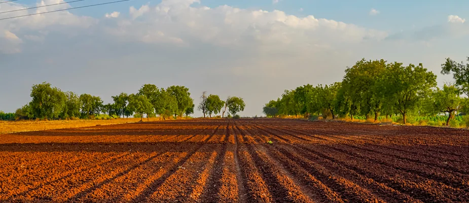 Powering the Soil Revolution: How a Leading Plough Manufacturer in Gujarat Is Redefining Modern Tillage