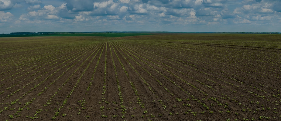 One Field, Four Problems, One Plough: A Kharif-to-Rabi Story